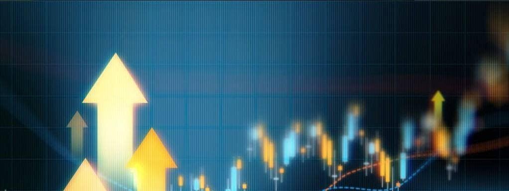 자사주 비중 높은 주식,인적분할 자사주 신주 배정 금지