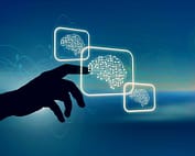 유능한 멘토의 특징,뇌과학 멘토링,심리적 안전감