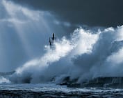 개인 투자자 보호