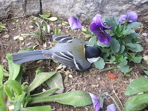 쉬었다가 가렴,작은새,대화