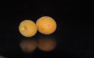 멘토링,멘토링 대화, 멘토, 멘토 역할