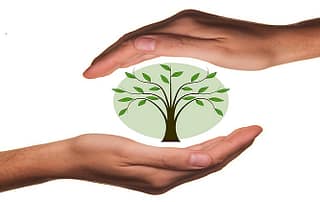 멘토링 역할과 책임