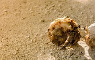 대화, 멘토링 대화