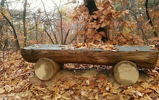 멘토,멘토링,멘토성찰