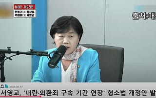 내란 외란죄 구속기간 연장,김용현 방지법