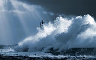 개인 투자자 보호