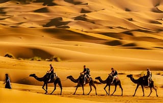 사우디 게임 투자