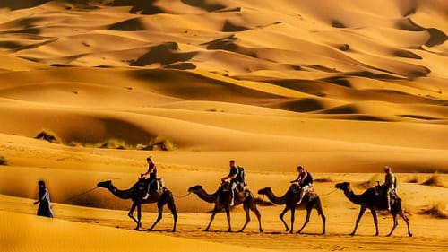 당신의 주식 계좌를 바꿀 단 하나의 기회, ‘사우디 게임 투자’ 유망주 7선