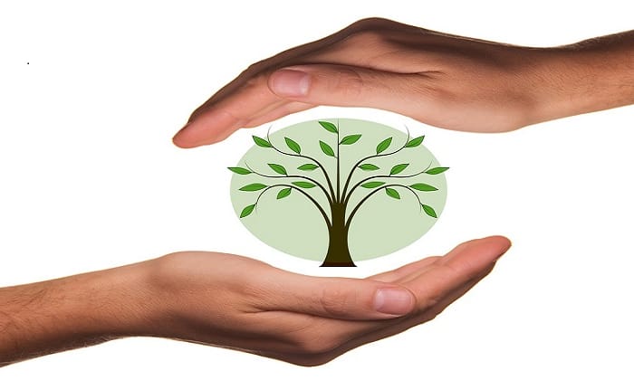 멘토링 역할과 책임