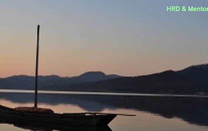 멘토링 프로그램 시작하기,멘토링