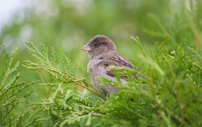레버리지 인버스 투자,개인 투자자 심리