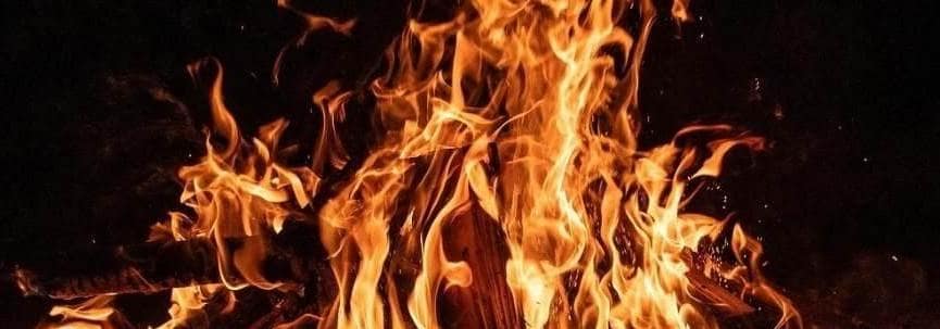 EPS 상승 효과,밸류업 프로그램